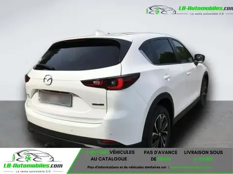 Used MAZDA CX-5 Diesel 2023 Ad 