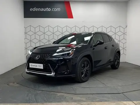 Annonce LEXUS UX Hybride 2024 d'occasion 