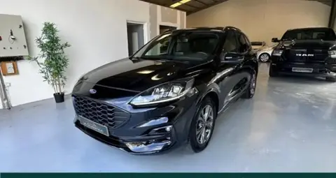 Annonce FORD KUGA Diesel 2021 d'occasion 