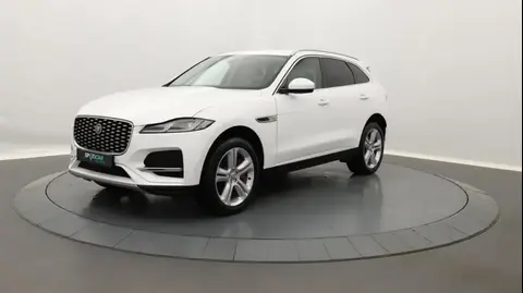 Annonce JAGUAR F-PACE Hybride 2022 d'occasion 