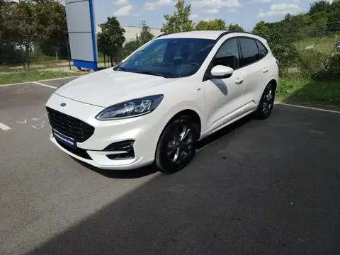 Used FORD KUGA Hybrid 2021 Ad 