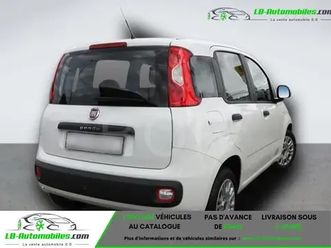 Used FIAT PANDA Petrol 2017 Ad 