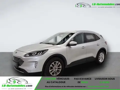 Used FORD KUGA Diesel 2021 Ad 