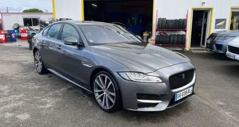 Annonce JAGUAR XF Diesel 2017 d'occasion 