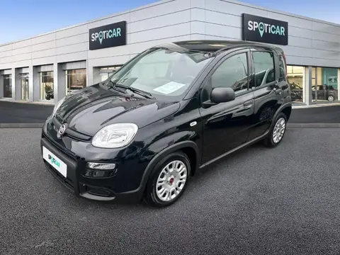 Annonce FIAT PANDA Essence 2024 d'occasion 