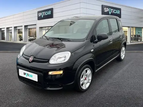 Annonce FIAT PANDA Essence 2024 d'occasion 