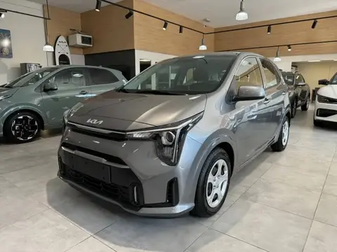 Used KIA PICANTO Petrol 2024 Ad 