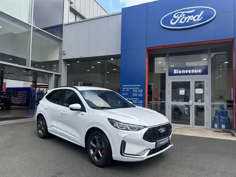 Annonce FORD KUGA Hybride 2024 d'occasion 