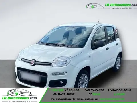 Annonce FIAT PANDA Essence 2019 d'occasion 