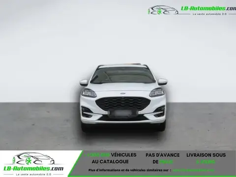 Annonce FORD KUGA Hybride 2021 d'occasion 