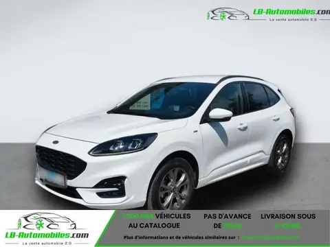 Used FORD KUGA Hybrid 2021 Ad 