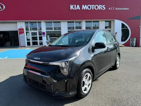 Used KIA PICANTO Petrol 2024 Ad 