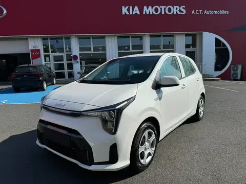 Annonce KIA PICANTO Essence 2024 d'occasion 