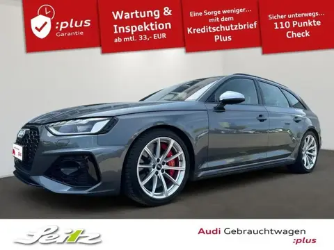 Used AUDI RS4 Petrol 2020 Ad 