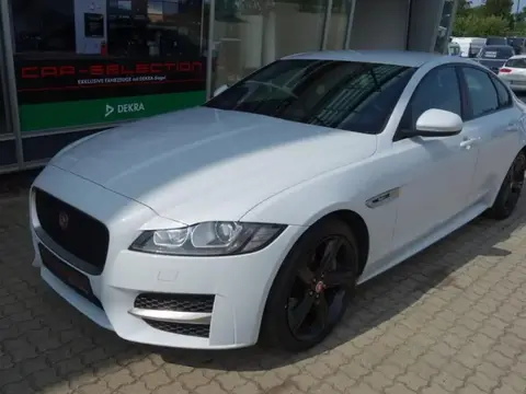 Annonce JAGUAR XF Diesel 2016 d'occasion 