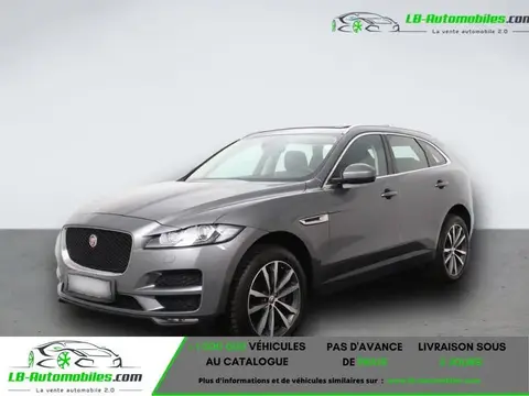 Used JAGUAR F-PACE Petrol 2019 Ad 