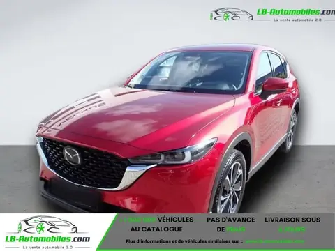 Used MAZDA CX-5 Petrol 2023 Ad 