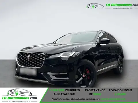 Used JAGUAR F-PACE Hybrid 2023 Ad 