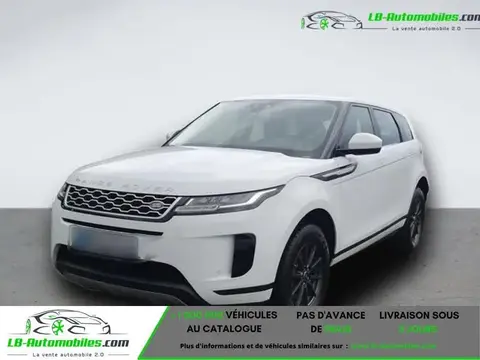 Used LAND ROVER RANGE ROVER EVOQUE Diesel 2019 Ad 