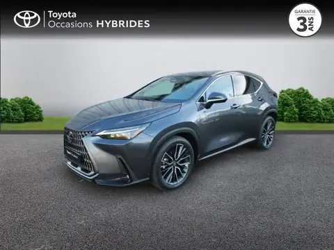 Used LEXUS NX Petrol 2024 Ad 