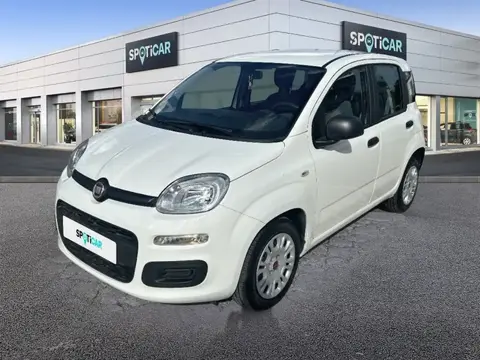 Used FIAT PANDA Petrol 2022 Ad 