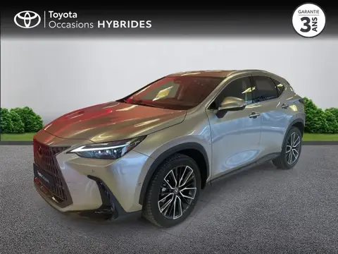 Used LEXUS NX Petrol 2024 Ad 