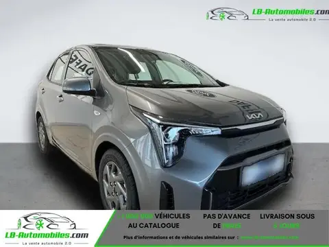 Used KIA PICANTO Petrol 2024 Ad 