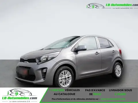 Annonce KIA PICANTO Essence 2024 d'occasion 