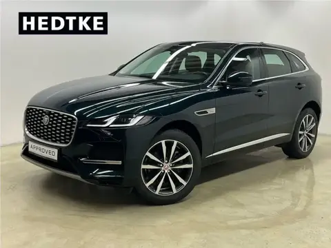 Used JAGUAR F-PACE Petrol 2021 Ad 