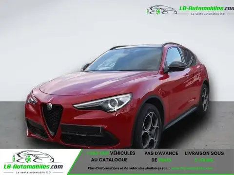 Used ALFA ROMEO STELVIO Diesel 2019 Ad 