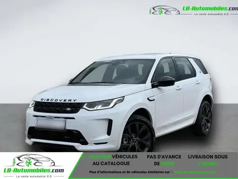 Used LAND ROVER DISCOVERY Diesel 2024 Ad 