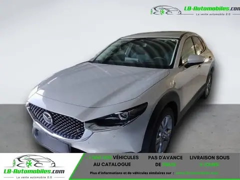 Annonce MAZDA CX-30 Hybride 2024 d'occasion 