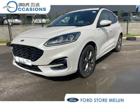 Annonce FORD KUGA Essence 2021 d'occasion 