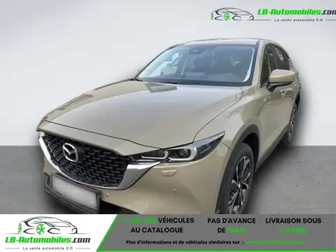 Annonce MAZDA CX-5 Essence 2024 d'occasion 