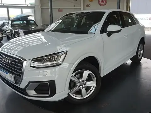 Annonce AUDI Q2 Diesel 2019 d'occasion 