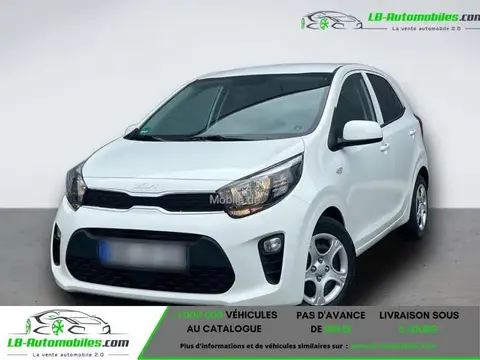 Used KIA PICANTO Petrol 2024 Ad 