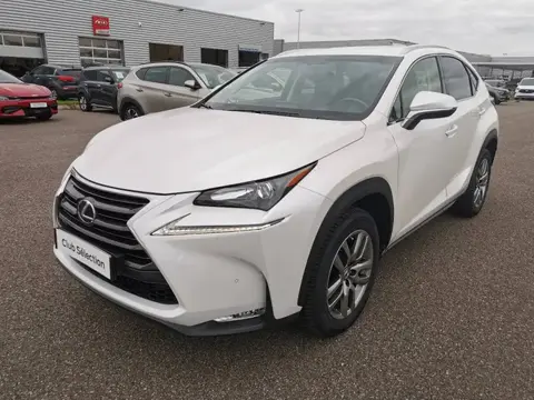 Annonce LEXUS NX Hybride 2017 d'occasion 