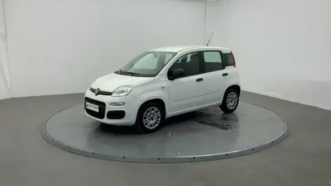 Annonce FIAT PANDA Essence 2022 d'occasion 