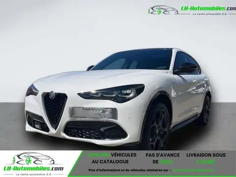 Used ALFA ROMEO STELVIO Diesel 2024 Ad 