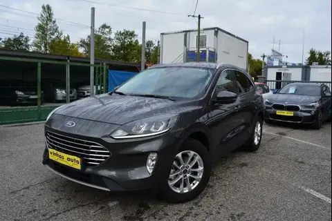 Used FORD KUGA Hybrid 2022 Ad 