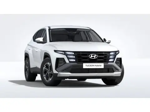 HYUNDAI TUCSON Hybrid 2024 Leasing ad 