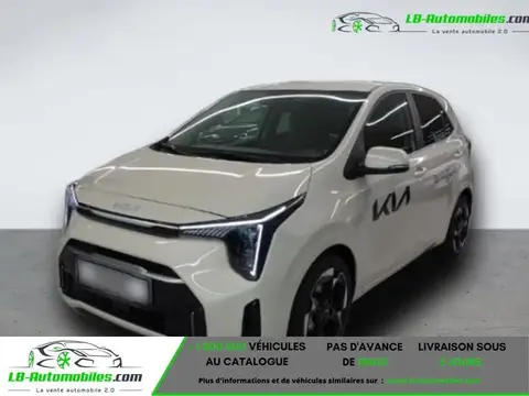 Used KIA PICANTO Petrol 2024 Ad 