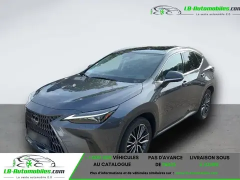 Used LEXUS NX Hybrid 2022 Ad 