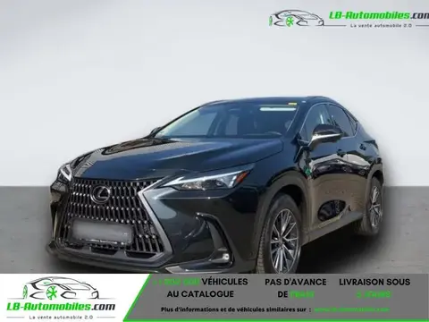 Annonce LEXUS NX Hybride 2024 d'occasion 