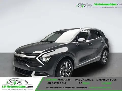 Annonce KIA SPORTAGE Diesel 2024 d'occasion 