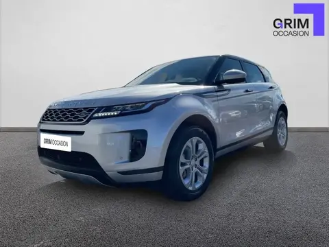 Used LAND ROVER RANGE ROVER EVOQUE Diesel 2021 Ad 