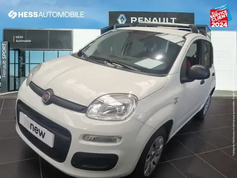 Used FIAT PANDA Petrol 2018 Ad 