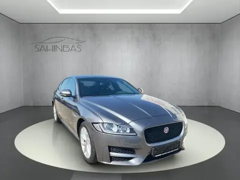 Used JAGUAR XF Petrol 2018 Ad 