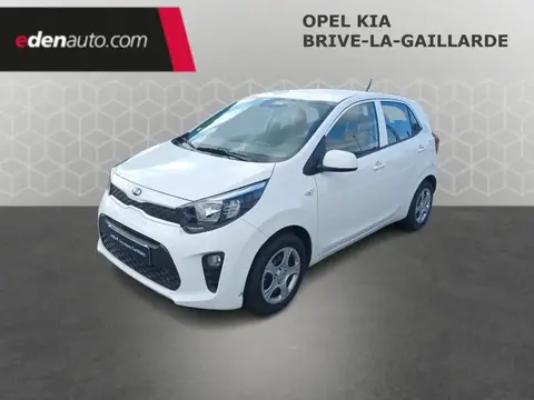 Used KIA PICANTO Petrol 2019 Ad 