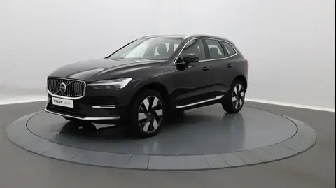 Annonce VOLVO XC60 Hybride 2023 d'occasion 